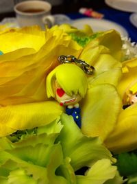 IMG_2010 IMG_2010